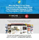Instant Responsive Niche WP Website With Multiple Income Sources option- 10 in 1